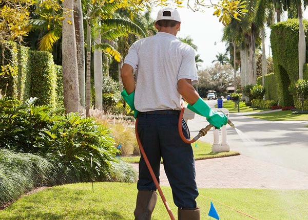About Brookline MO Pest Control